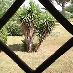 Ai Glicini Castelli Romani Bed and Breakfast Marino