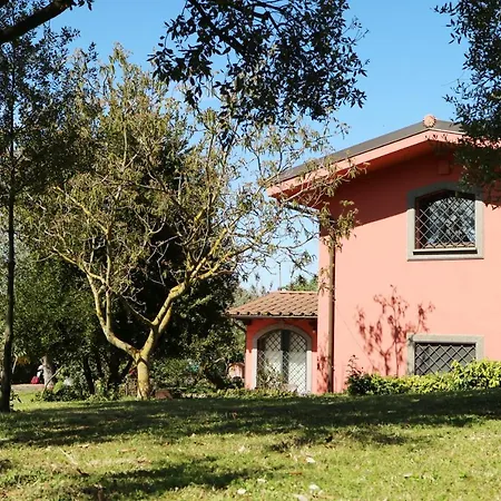 Ai Glicini Castelli Romani