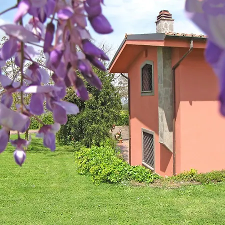 Ai Glicini - Castelli Romani B&B 마리노