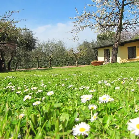 Bed & Breakfast Ai Glicini - Castelli Romani 3*