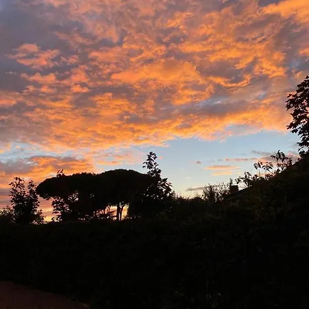 Ai Glicini - Castelli Romani Bed & Breakfast Marino