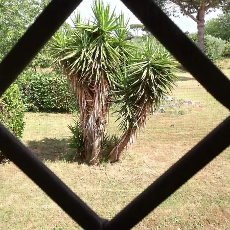 Ai Glicini Castelli Romani Bed & Breakfast Marino