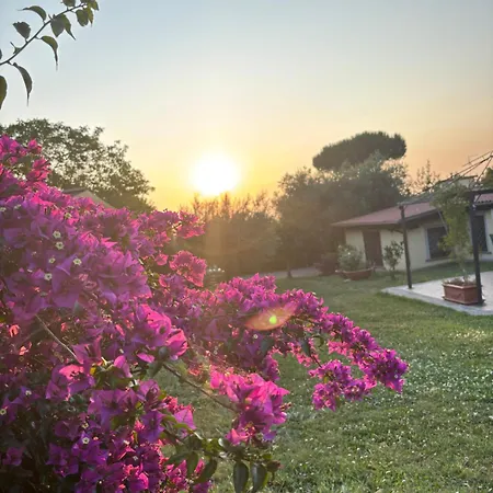 Ai Glicini Castelli Romani Alojamento de Acomodação e Pequeno-almoço 3*