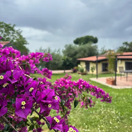 Bed & Breakfast Ai Glicini Castelli Romani