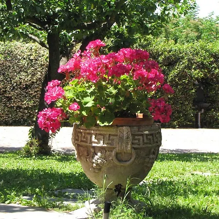 Bed & Breakfast Ai Glicini Castelli Romani Marino