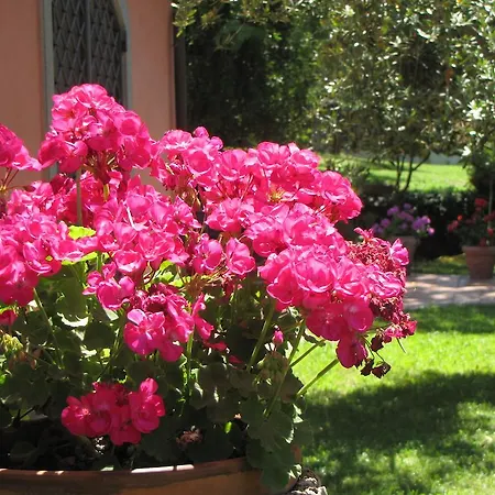 Bed & Breakfast Ai Glicini - Castelli Romani 3*