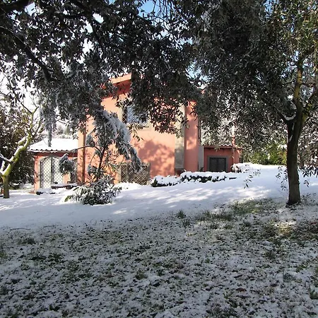 Bed & Breakfast Ai Glicini Castelli Romani