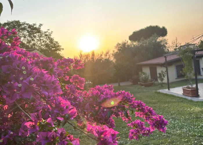 Ai Glicini Castelli Romani Alojamento de Acomodação e Pequeno-almoço 3*