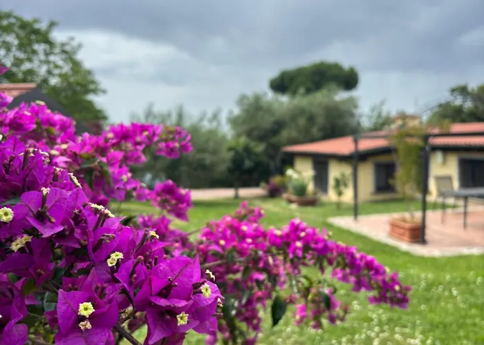 Alojamento de Acomodação e Pequeno-almoço Ai Glicini Castelli Romani