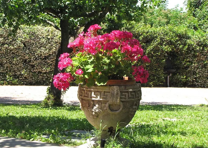 Alojamento de Acomodação e Pequeno-almoço Ai Glicini Castelli Romani Marino