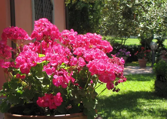 Alojamento de Acomodação e Pequeno-almoço Ai Glicini Castelli Romani 3*