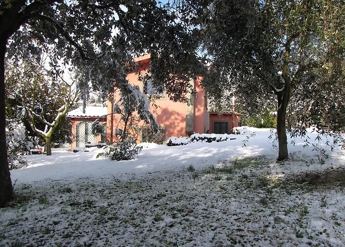 Frühstückspension Ai Glicini Castelli Romani