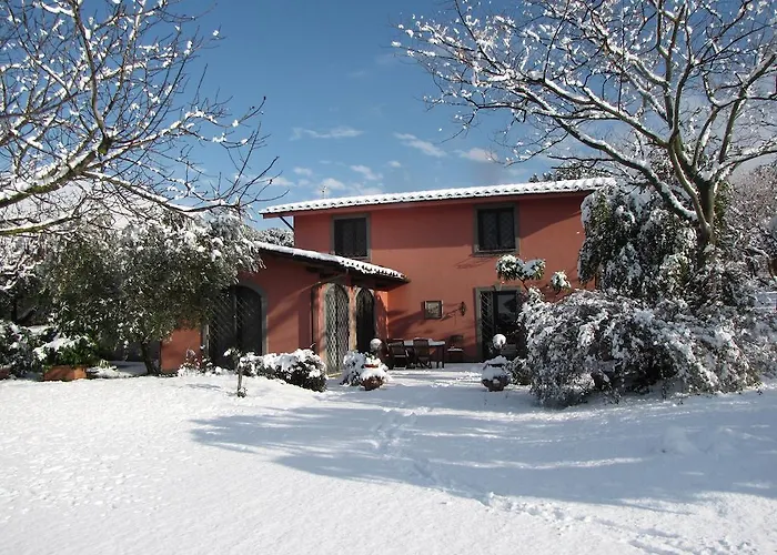 Ai Glicini Castelli Romani Marino